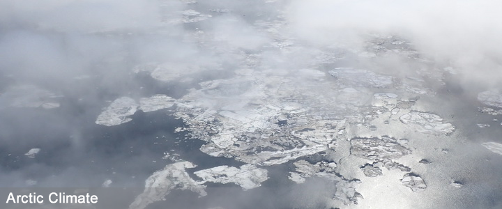 Melting sea ice in the Chukchi sea in June 2016 seen from the NOAA Twin Otter aircraft