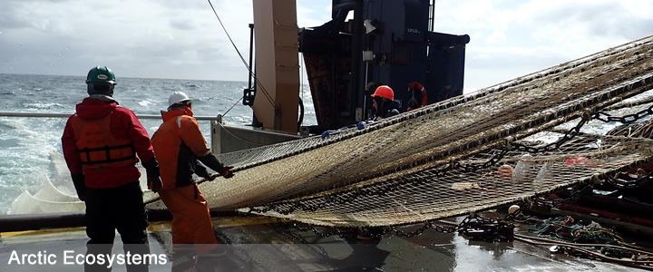 Pelagic Trawl nets sample fish in the water column - Alex Andrews