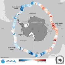 Sea-air CO2 observations
