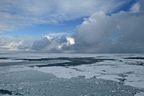 Arctic sea ice. Credit: NOAA.
