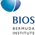 Marine Biogeochemistry Lab at BIOS
