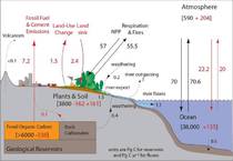 Carbon Cycle Graphics