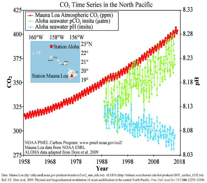 Hawaii Carbon Dioxide Time-Series Hawaii Carbon Dioxide Time-Series
