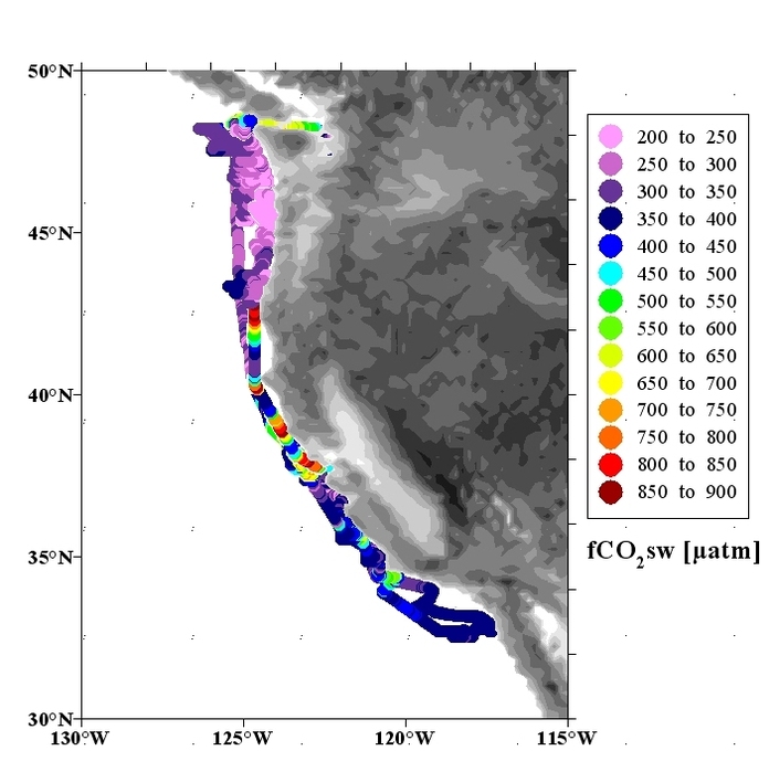 Coastal Carbon Dynamics Zone 3