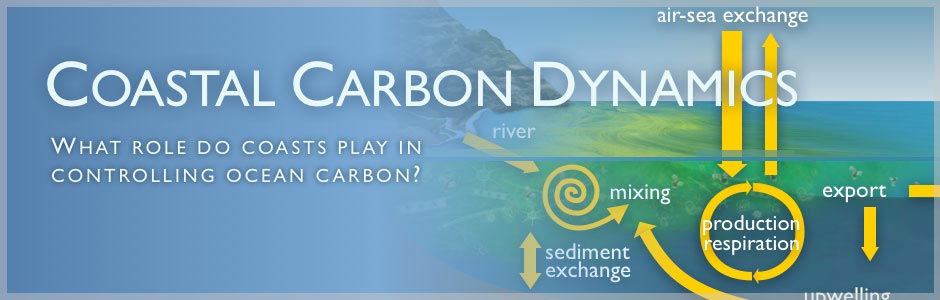 Coastal Carbon Dynamics
