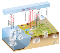 Fig 6.1 Schematic of the global carbon cycle