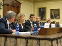 Witness panel at June 2008 hearing
