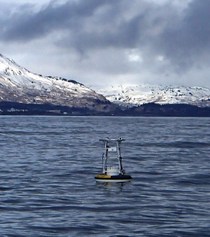 Kodiak Buoy