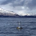 Kodiak Buoy