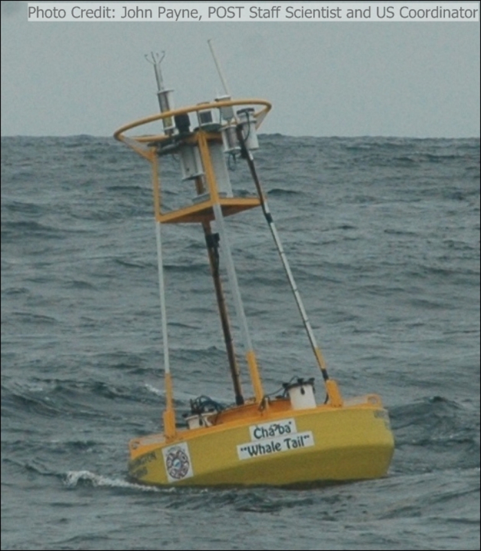 La Push Buoy