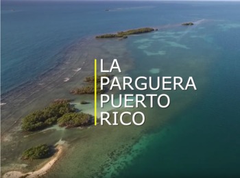 Tracking Ocean Acidification in Puerto Rico: A Video Journey