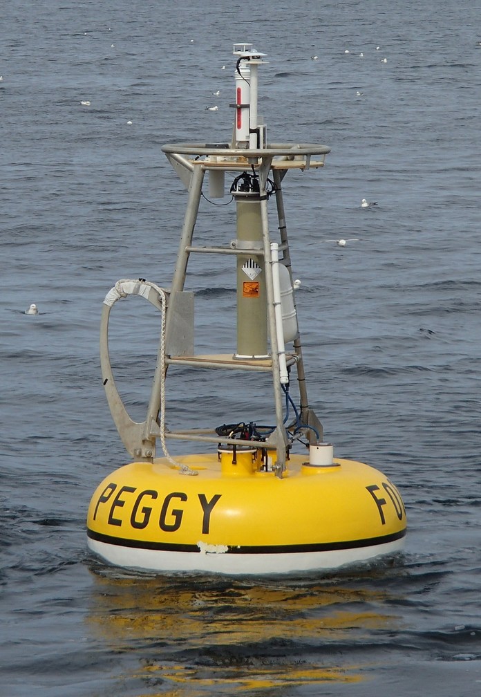 M2 OA Buoy 2013