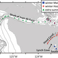 PRISM cruise map 2008