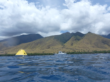 Maui OA buoy