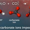 What is Ocean Acidification?