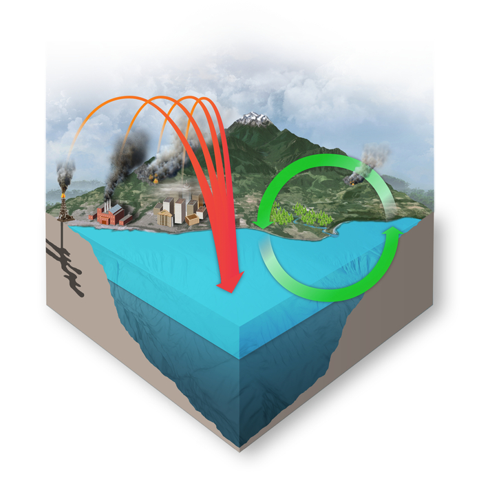 Ocean Acidification Zone