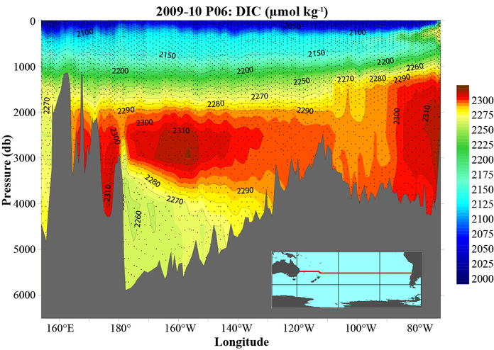 P06 DIC Section