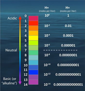The pH scale by numbers