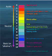 The pH scale with some common examples