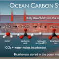 Ocean Carbon Storage