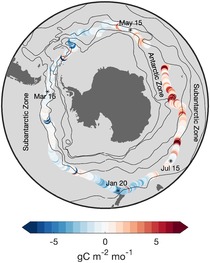 Southern Ocean CO2 flux in 2019