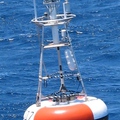 TAO buoy