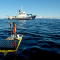 OA in Prince William Sound