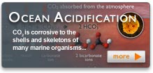 Ocean Acidification Button