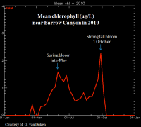 Chlorophyll in Barrow Canyon in 2010