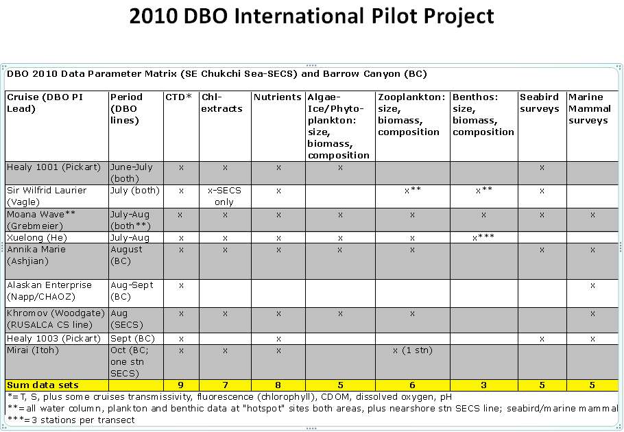 2010 DBO International Pilot Project