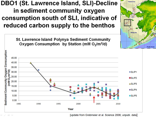 DBO1 (St. Lawrence Island, SL1) Decline in sediment community oxygen consumption south of SL1, indicative of reduced carbon supply to the benthos