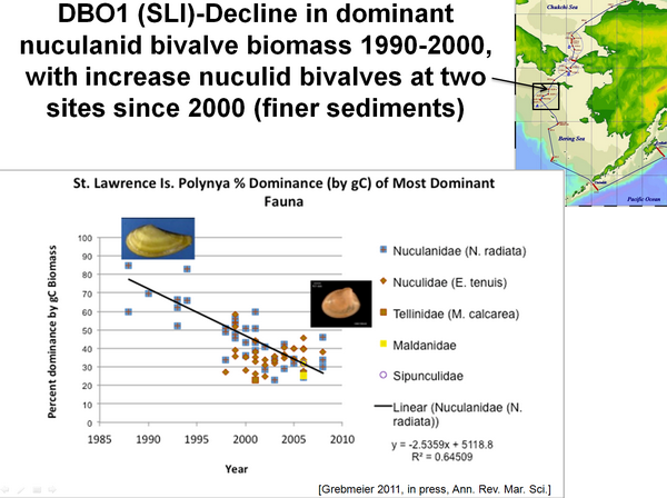 DBO1 (SL1) - Decline in dominant nuculanid bivalve biomass 1990-2000, with increase nuculid bivalves at two sites since 2000 (finer sediments)
