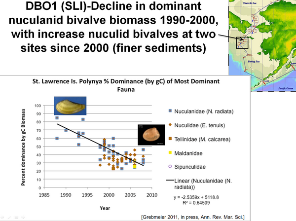 dbo_1_st_lawrence_organic_supply-600.png DBO1 (SL1) - Decline in dominant nuculanid bivalve biomass 1990-2000, with increase nuculid bivalves at two sites since 2000 (finer sediments)