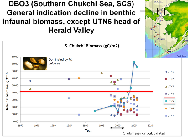 DBO3 (Southern Chukchi Sea, SCS) General indication decline in benthis infaunal biomass, except UTN5 head of Herald Valley