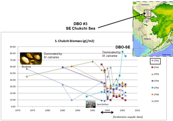 DBO3 SE Chukchi Sea