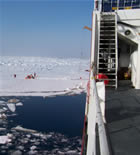 View of Ice operation in the distance . Photo by C.Ladd