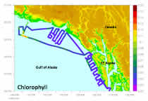 Along-track chlorophyll, SE Alaska, Gulf of Alaska