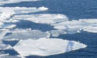 Sea ice