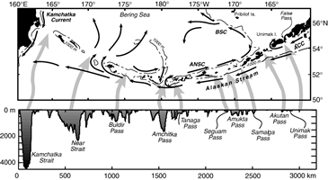 Map of net water flow and mean transport