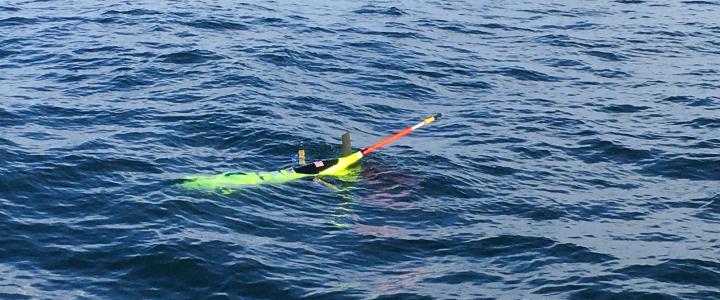 Oculus Glider floating in open water