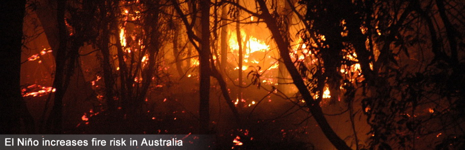 Australia Night Fire by Sascha Grant