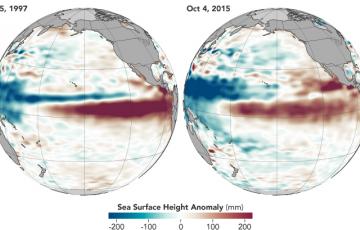 A comparison of the 2015 and 1997 El Niños A comparison of the 2015 and 1997 El Niños, two of the strongest on record, in October of each respective year. Observations of sea surface heights and temperatures, as well as wind patterns, show surface waters cooling off in the Western Pacific and warming significantly in the tropical Eastern Pacific. Credit: NASA’s Earth Observatory.