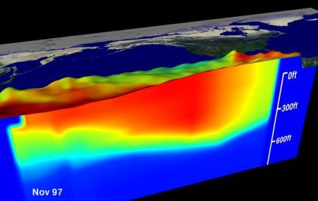 El Nino temperatures and sea level in the tropical Pacific Ocean