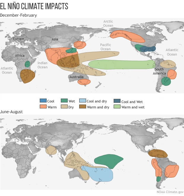 El Nino global impacts for Winter and Summer from climate.gov
