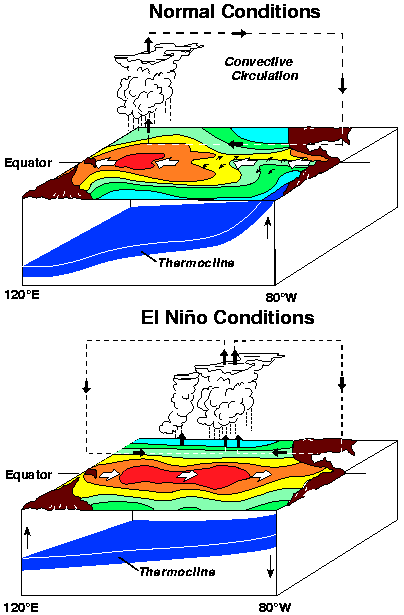 El Nino conditions