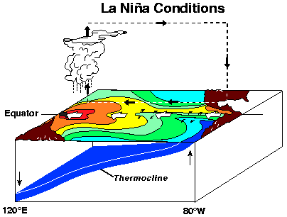 La Nina schematic diagram