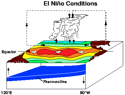 El Nino schematic diagram