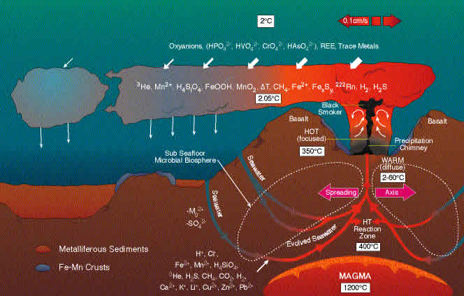 hydrothermal vent diagram