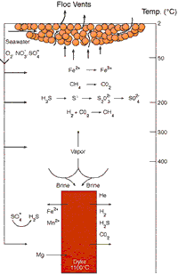 figure of chemical and microbial processes, click to enlarge