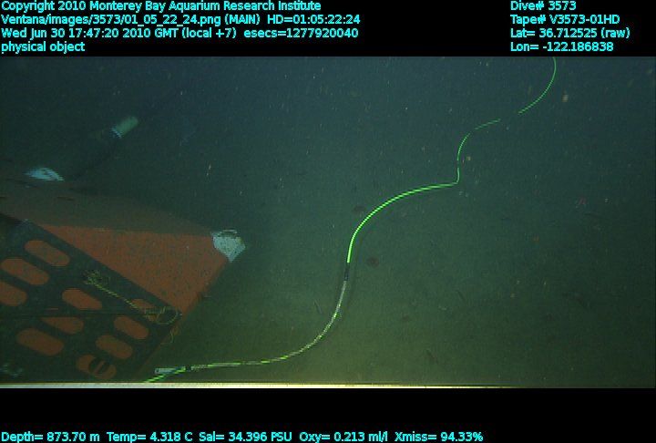 Photo of instrument cable pulled toand MARS science node